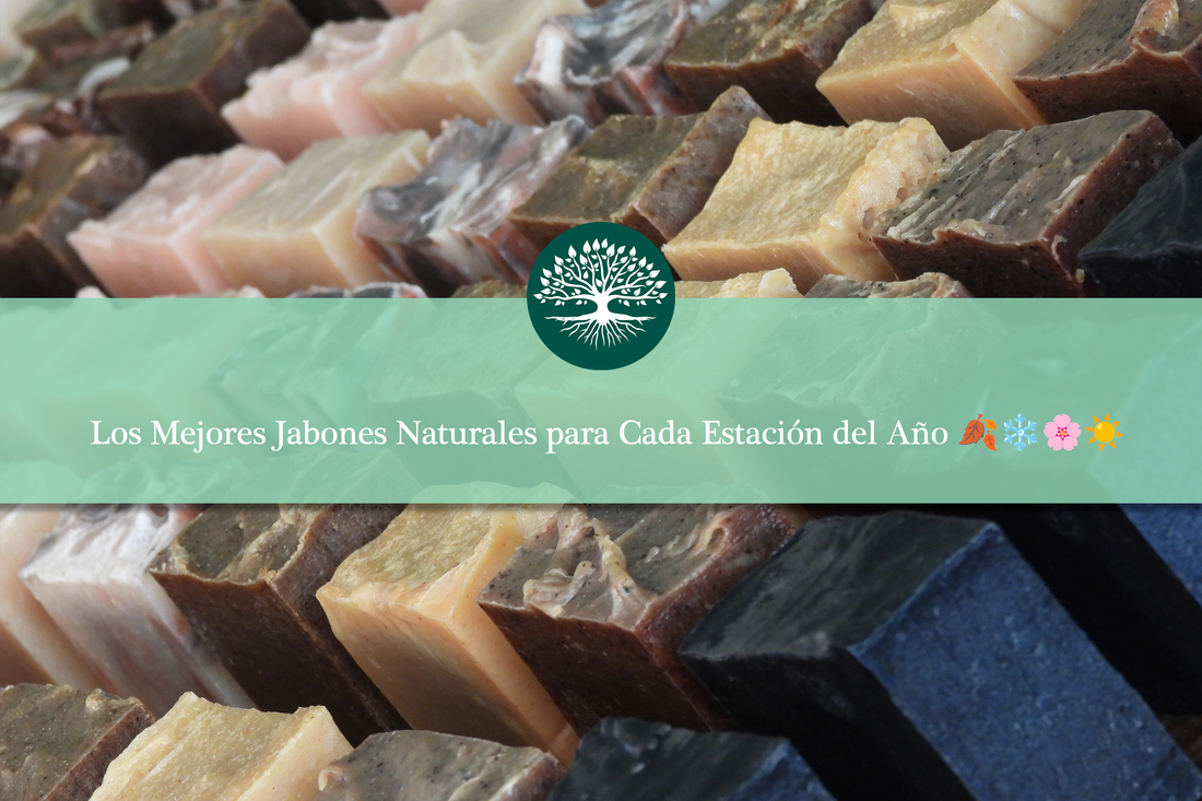 Los Mejores Jabones Naturales para Cada Estación del Año 🍂❄️🌸☀️
