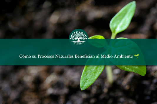 Cómo su Procesos Naturales Benefician al Medio Ambiente 🌱