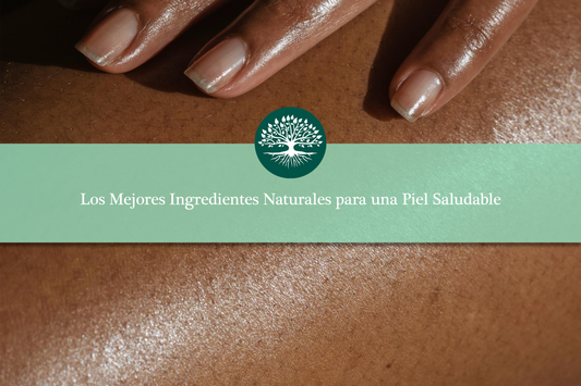 Los Mejores Ingredientes Naturales para una Piel Saludable 🌼