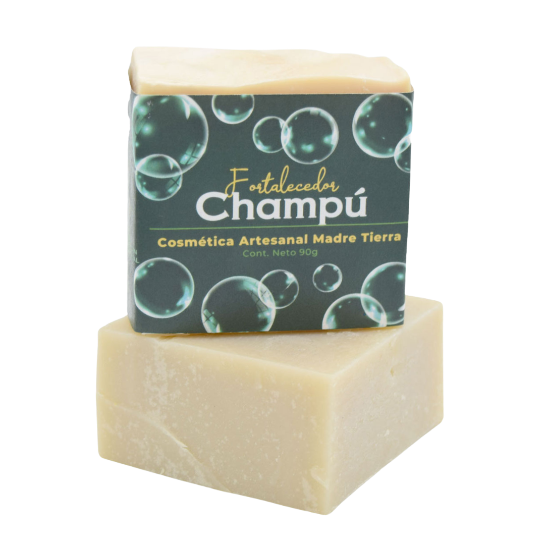 Champú natural en barra 90gr